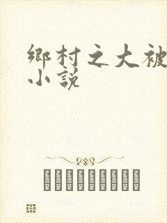 乡村之大被同眠小说封面