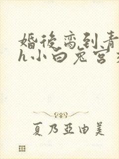 婚后脔到青梅哭h小白兔宫交h