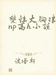 双性大胸浪荡受np高h小说