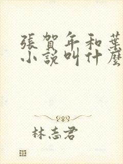 张贺年和叶繁姿小说叫什么名字封面