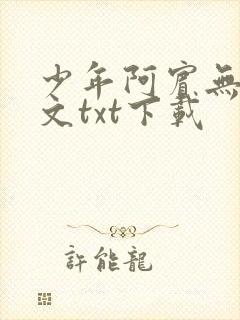 少年阿宾无删全文txt下载