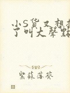 小S货又想挨C了叫大声点小