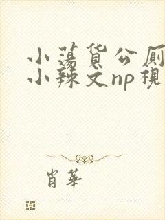 小荡货公厕h文小辣文np视频