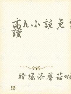 高h小说免费阅读封面