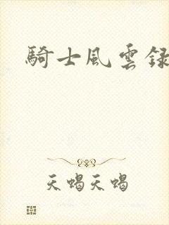 骑士风云录封面