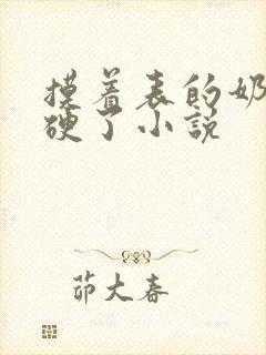 摸着表的奶头揉硬了小说封面