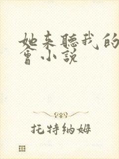 她来听我的演唱会小说