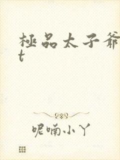极品太子爷txt封面
