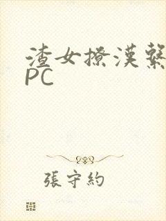 渣女撩汉系统NPC封面