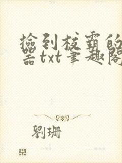 捡到校霸的遥控器txt笔趣阁