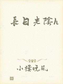 长日光阴h