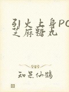 引火上身POP芝麻糖丸