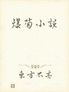 爆菊小说