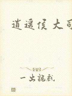 逍遥侯 大司空封面