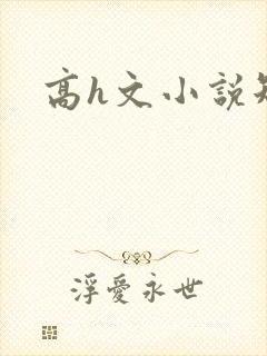 高h文小说短篇