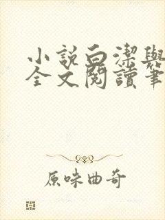 小说白洁与高义全文阅读笔趣阁封面