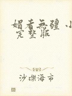 媚者无疆 小说 完整版封面