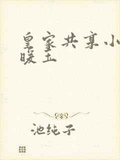 皇家共享小公主暖玉