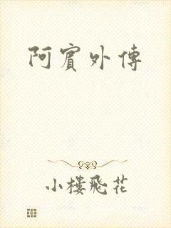 阿宾外传
