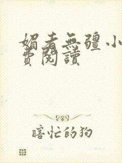 媚者无疆小说免费阅读封面