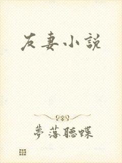 友妻小说封面