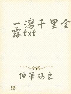 一泻千里金银花露txt