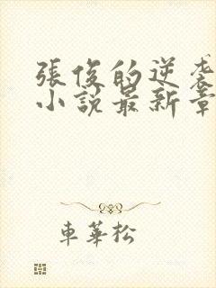 张俊的逆袭之路小说最新章节