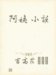 阿姨 小说封面
