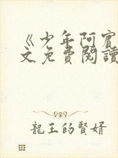 《少年阿宾》全文免费阅读