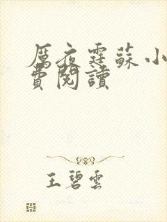 厉夜霆苏小汐免费阅读