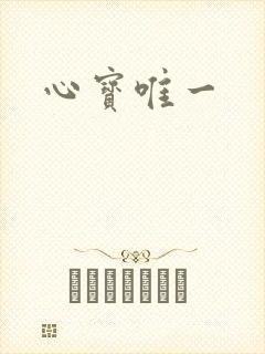 心宝唯一