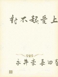 对不起爱上你封面