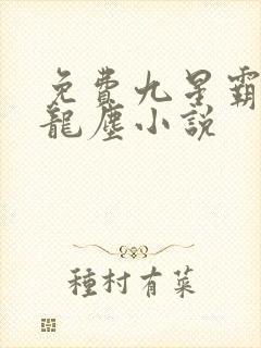 免费九星霸体诀龙尘小说