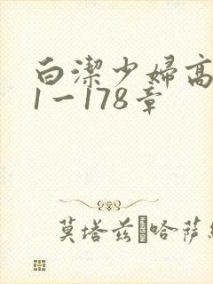 白洁少妇高义第1一178章