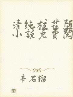 清纯校花堕落记小说免费阅读