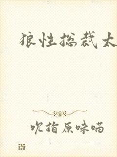 狼性总裁太凶猛