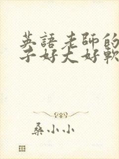 英语老师的小兔子好大好软水