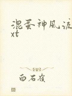 混蛋神风流史txt