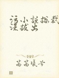 污小说总裁整夜没拔出封面