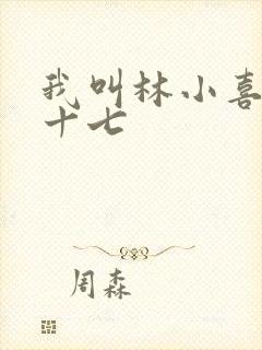 我叫林小喜今年十七封面