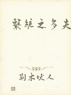 系统之多夫HP封面