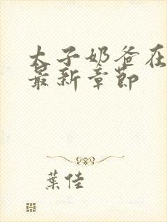 太子奶爸在花都最新章节