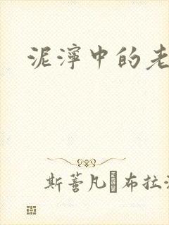 泥泞中的老虎封面