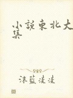 小说东北大炕全集