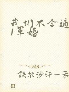 我们不合适1v1军婚