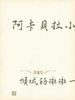 阿卡贝拉小说封面