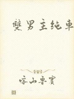 双男主纯车骨科