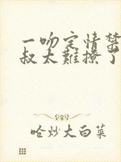 一吻定情禁欲小叔太难撩了