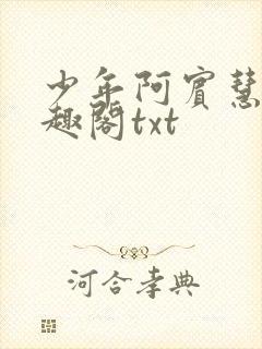 少年阿宾慧钰笔趣阁txt