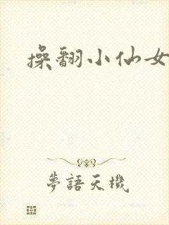 操翻小仙女封面